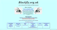 Desktop Screenshot of blackfly.org.uk